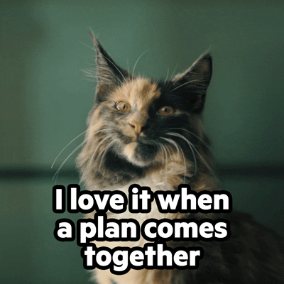 Animated GIF of a cat saying they love plans