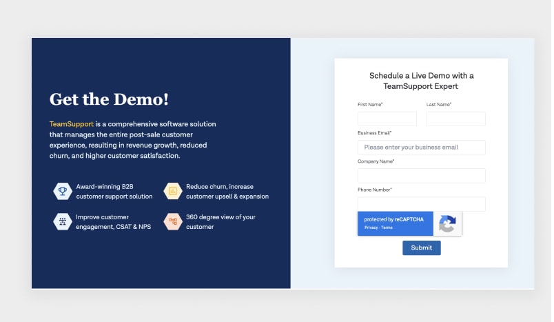 B2B Landing Page: TeamSupport