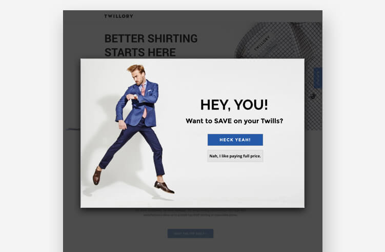 High-Converting Landing Page: Twillory Popup